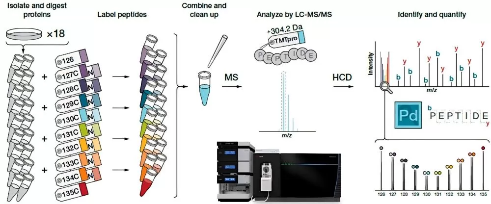 Figure 8: Detection Workflow for TMT-Tagged Proteomics